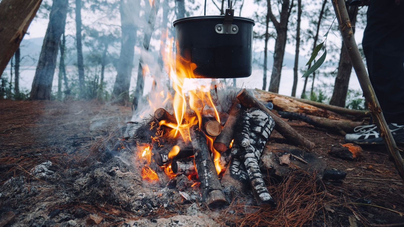 Best Backpacking Food 2026 — Freeze-Dried Meals & Trail Nutrition