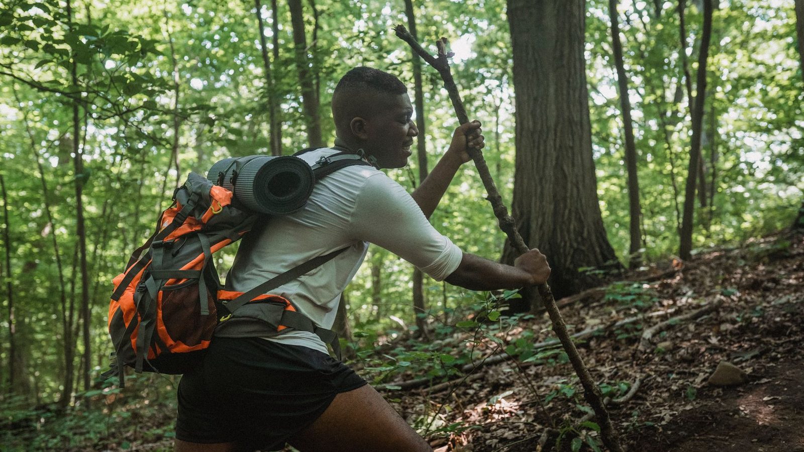 Best Backpacking Packs (2026)