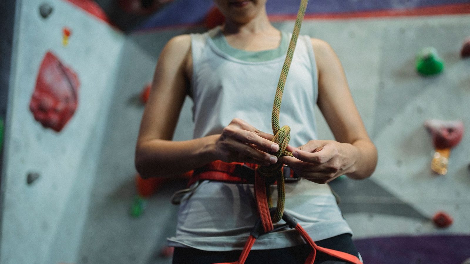 Best Climbing Harnesses 2026 — Sport, Trad & Gym