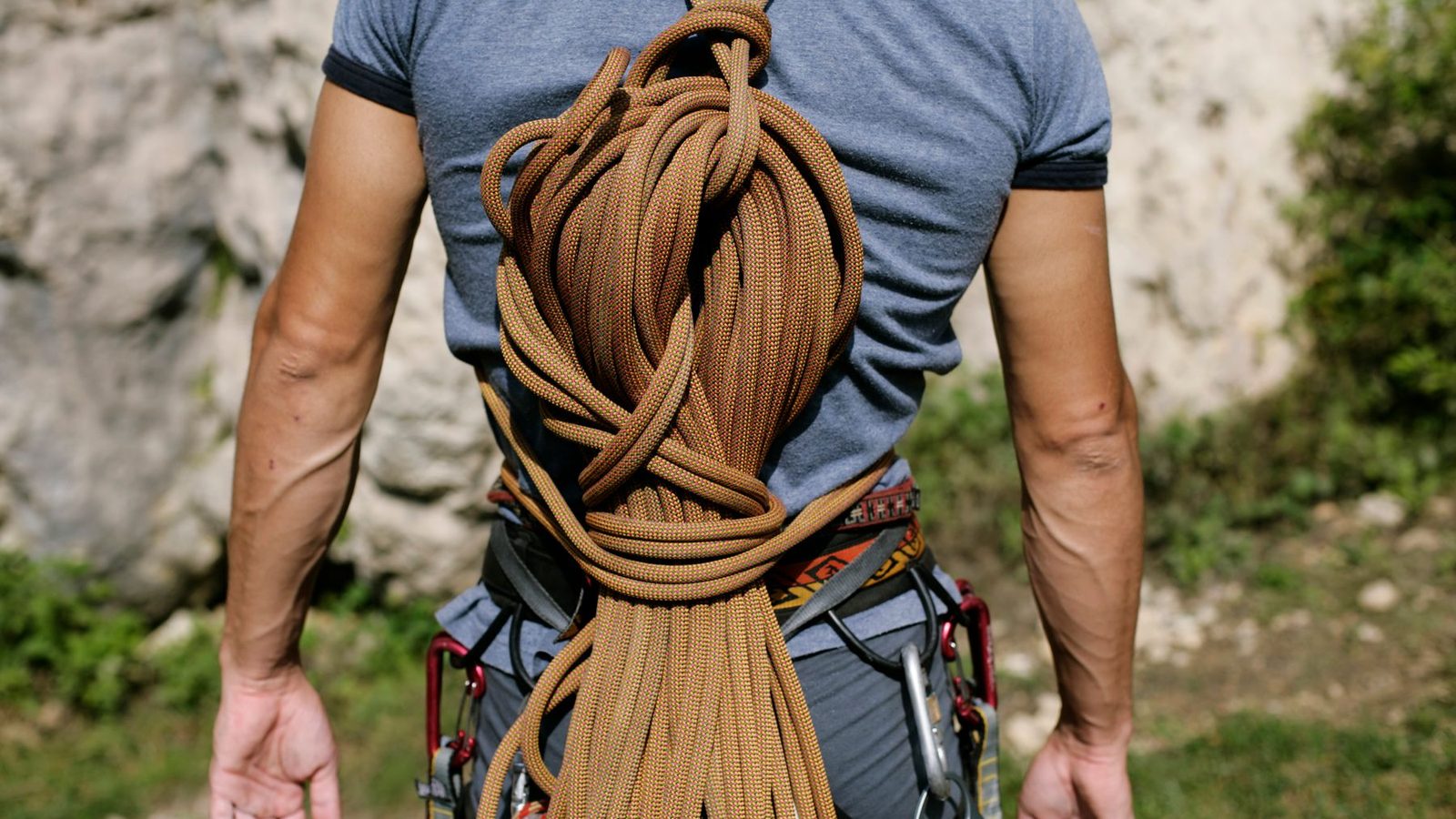 Best Climbing Ropes 2026 — Sport, Trad & Gym