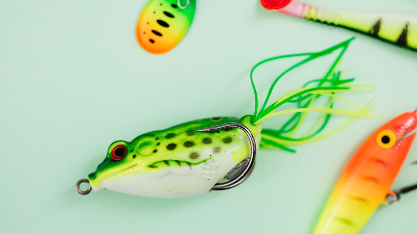 Best Crankbaits 2026 — Bass & Walleye Cranks