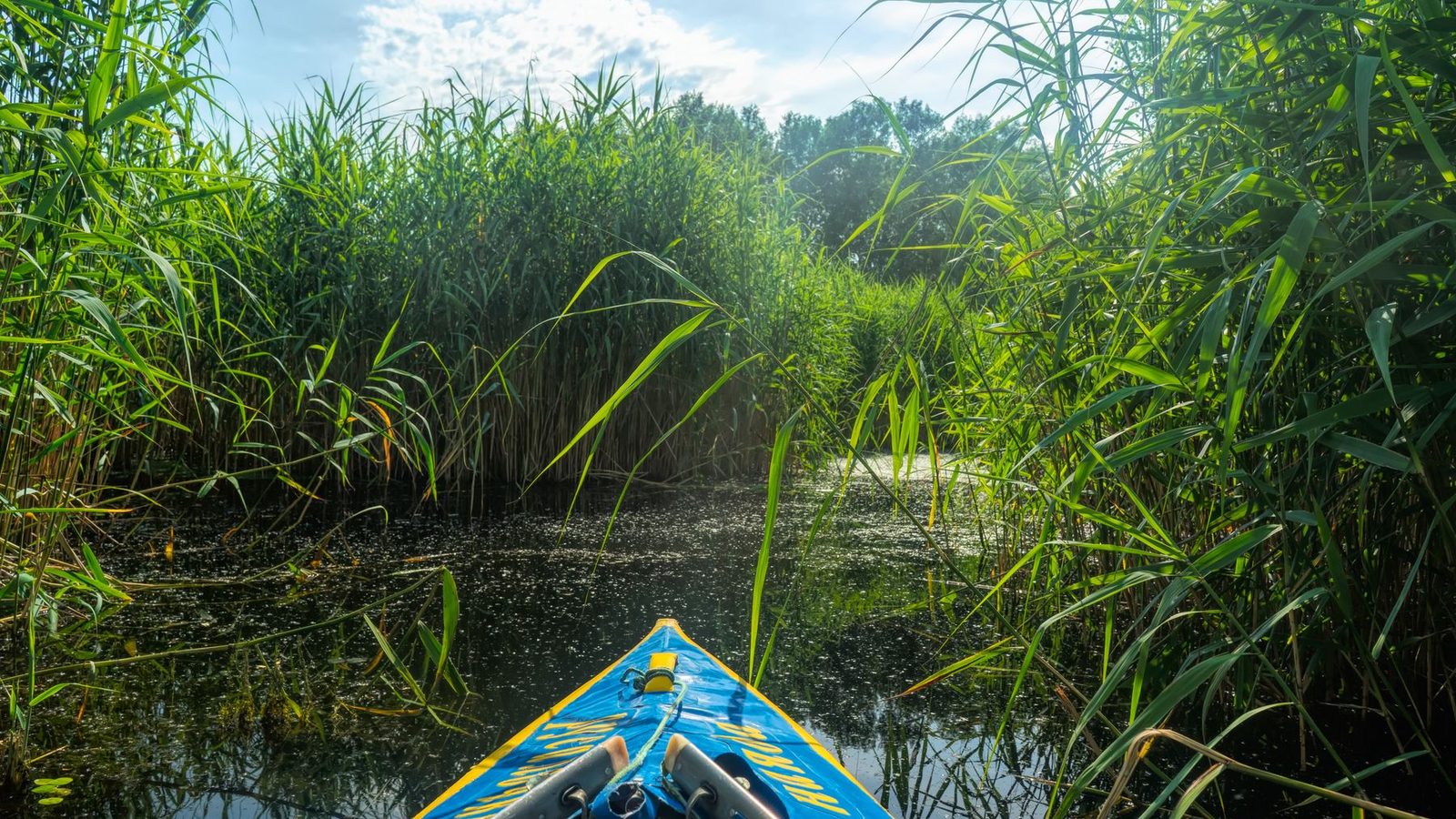 Best Duck Hunting Kayaks 2026