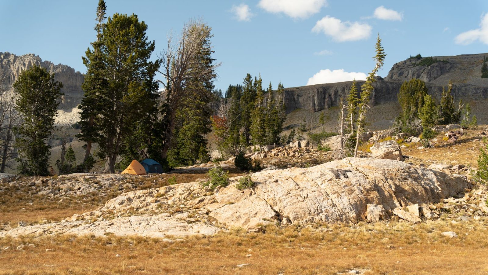 Best Family Camping Tents 2026 — Space, Setup & Weather Protection