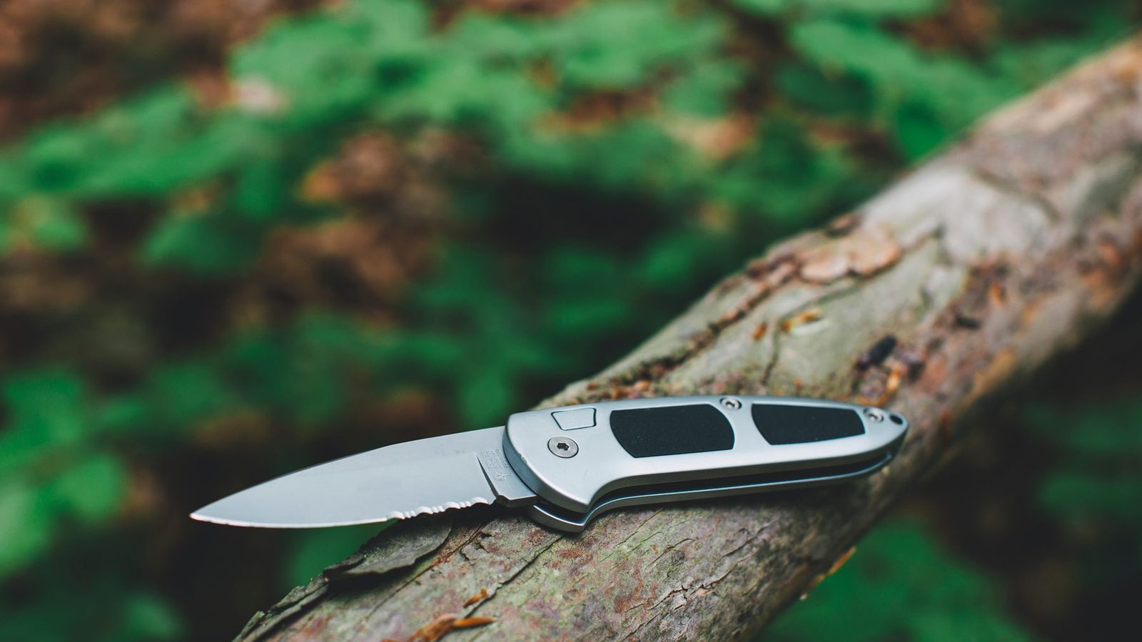 Best Fish Fillet Knives 2026 — Electric & Manual