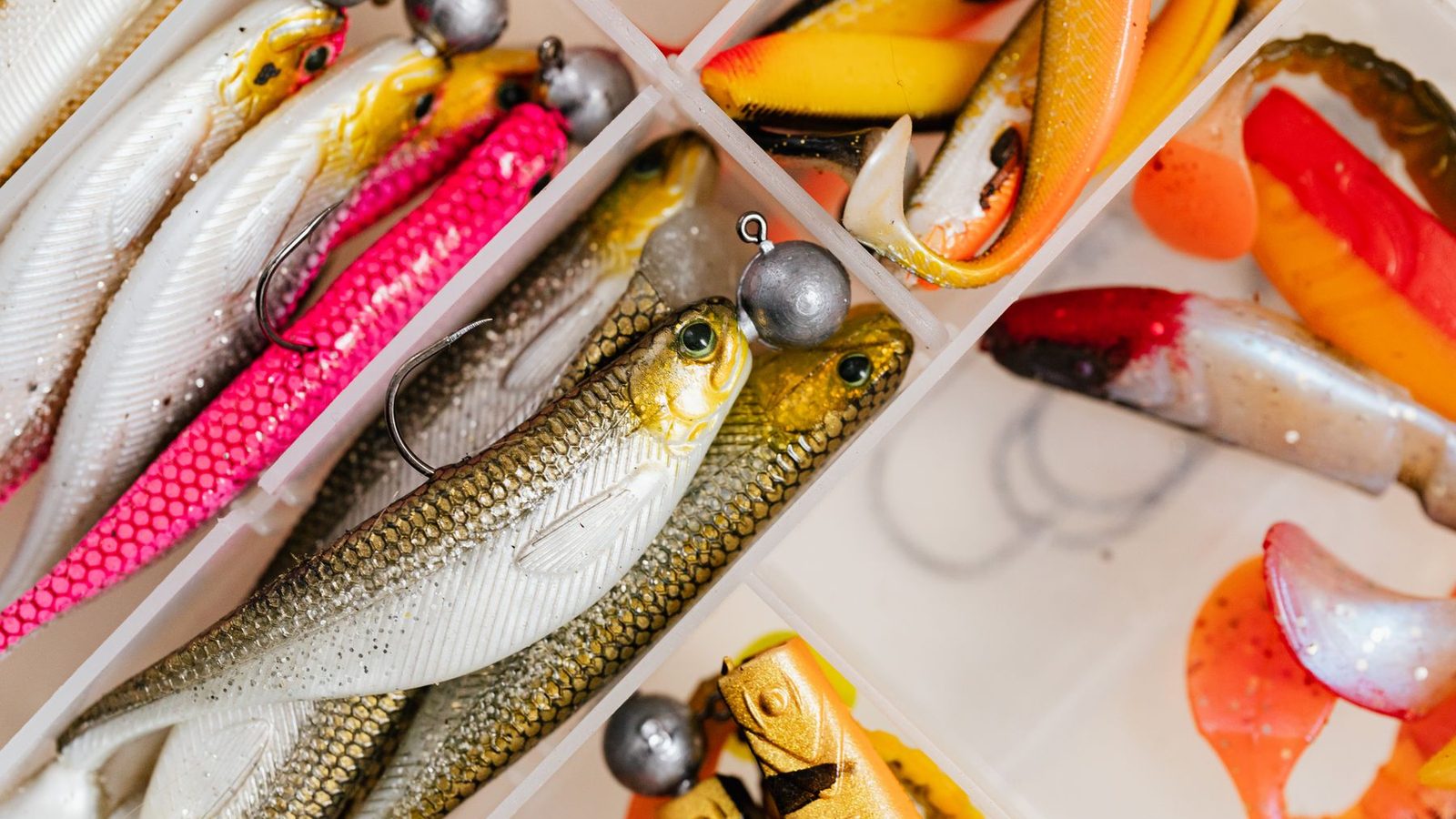 Best Fishing Lines 2026