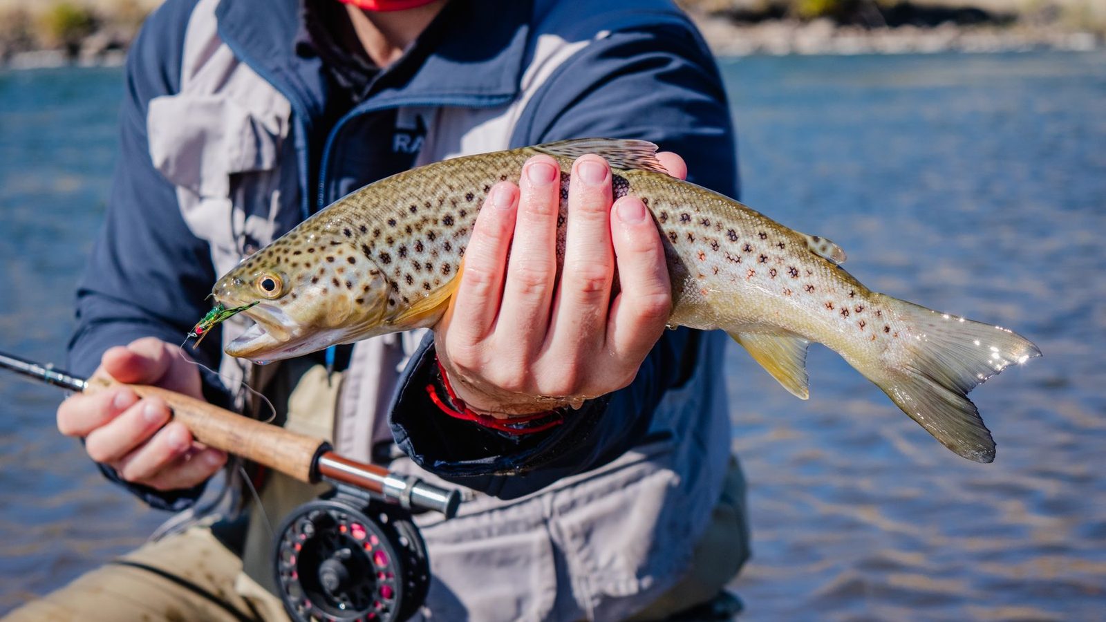 Best Fly Fishing Gear 2026 — Rods, Reels & Combos