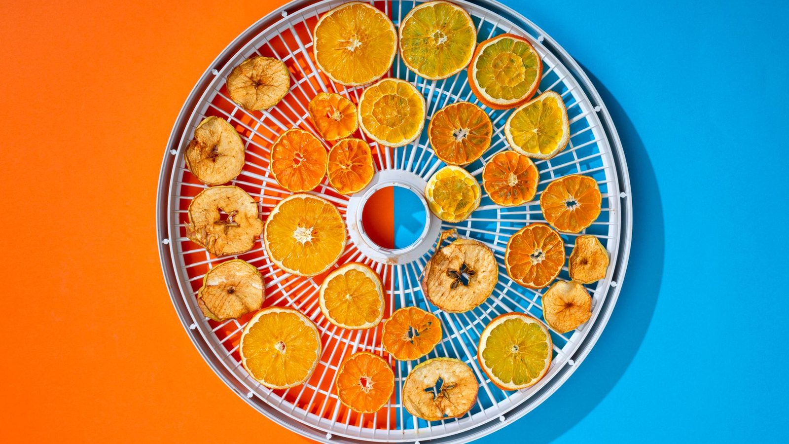 Best Food Dehydrators 2026 — Jerky, Trail Food & Dried Fruit