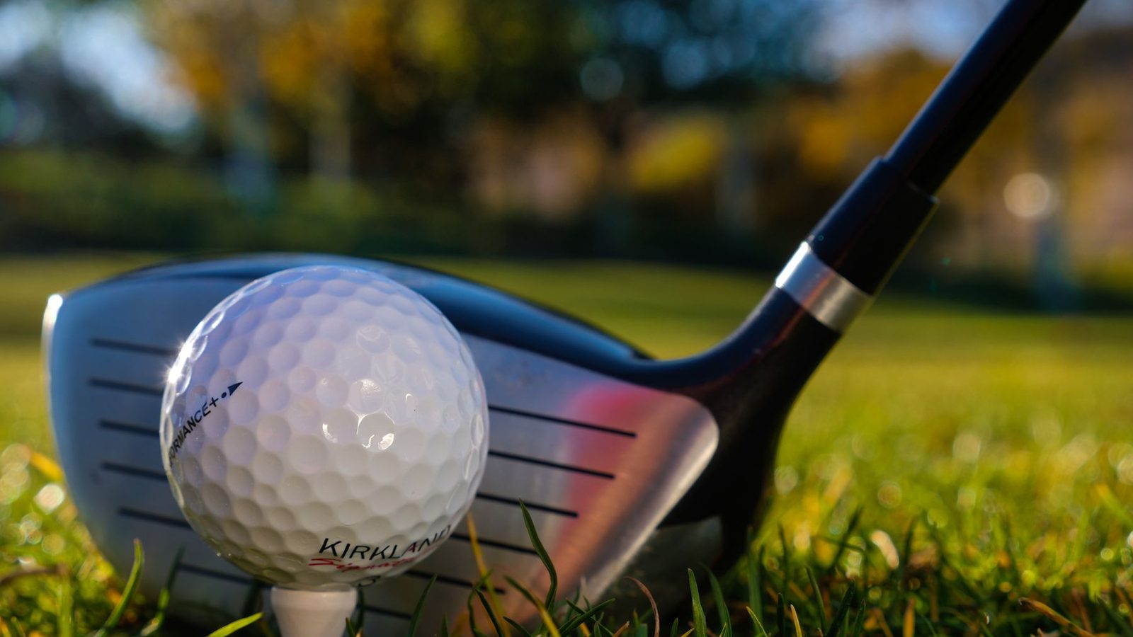 Best Golf Iron Sets for 2026: Game-Improvement to Players Irons Compared