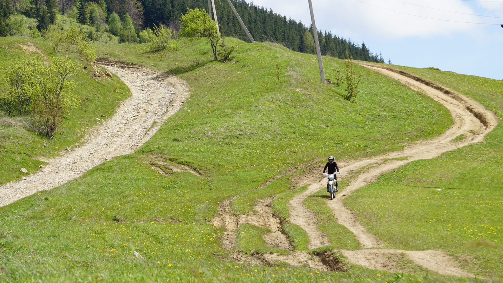 Best Gravel Bikes 2026: Adventure Cycling on Any Surface