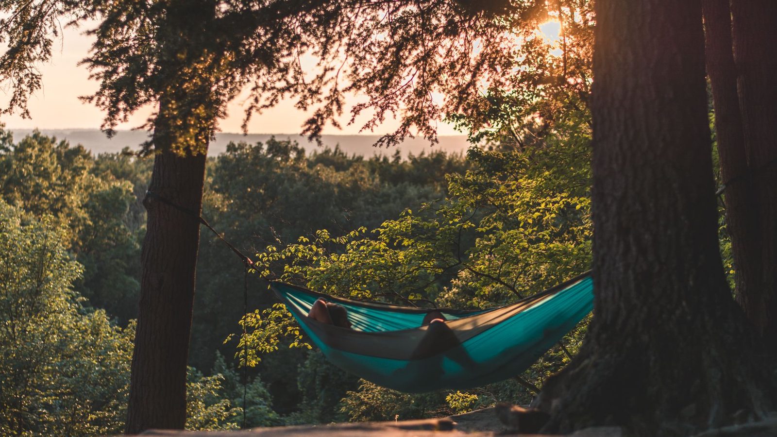 Best Camping Hammocks 2026 — Backpacking, Camping & Backyard