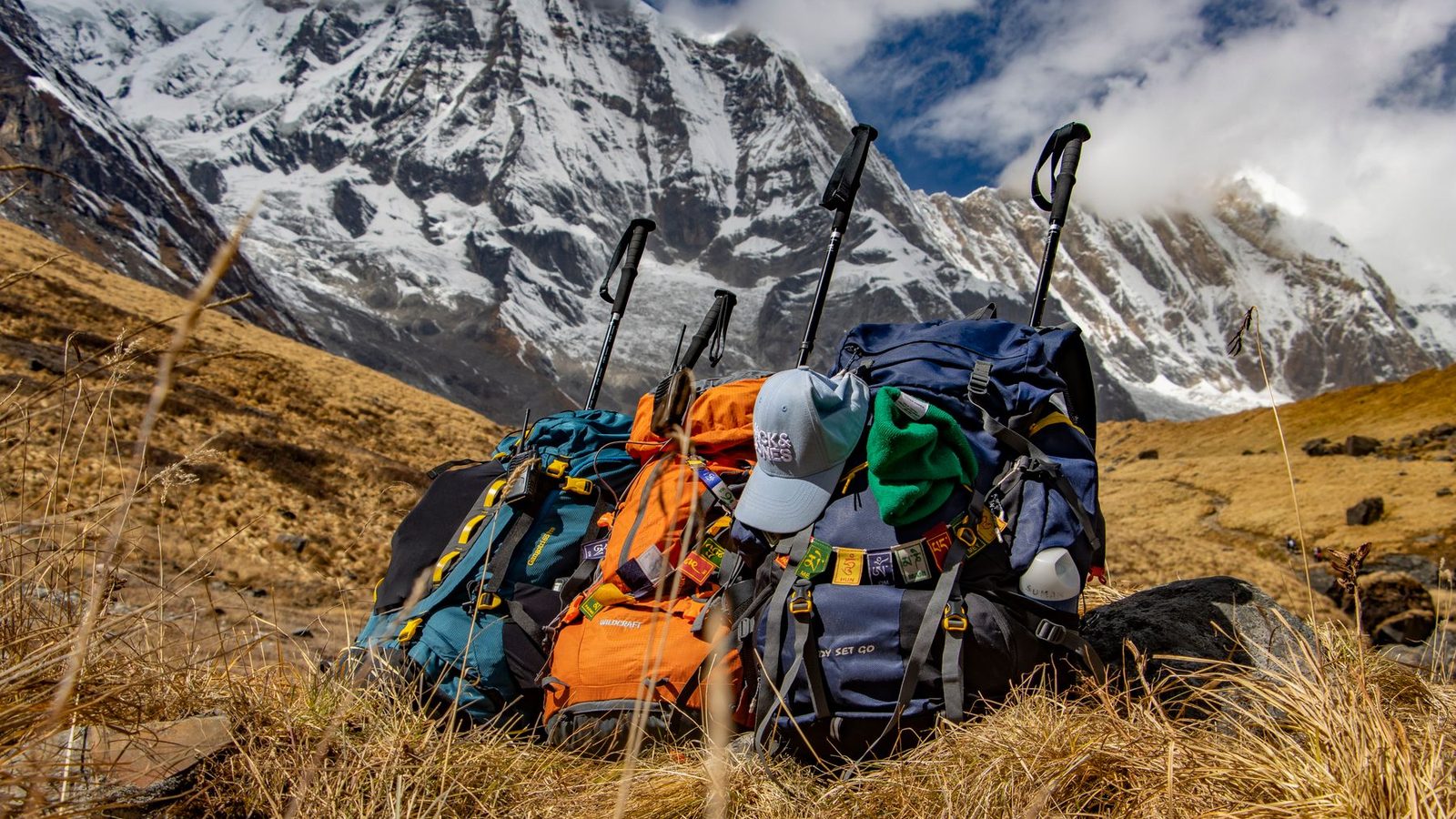 Best High-End Trekking Poles for 2026