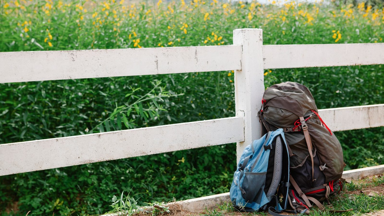 Best Hiking Daypacks for 2026