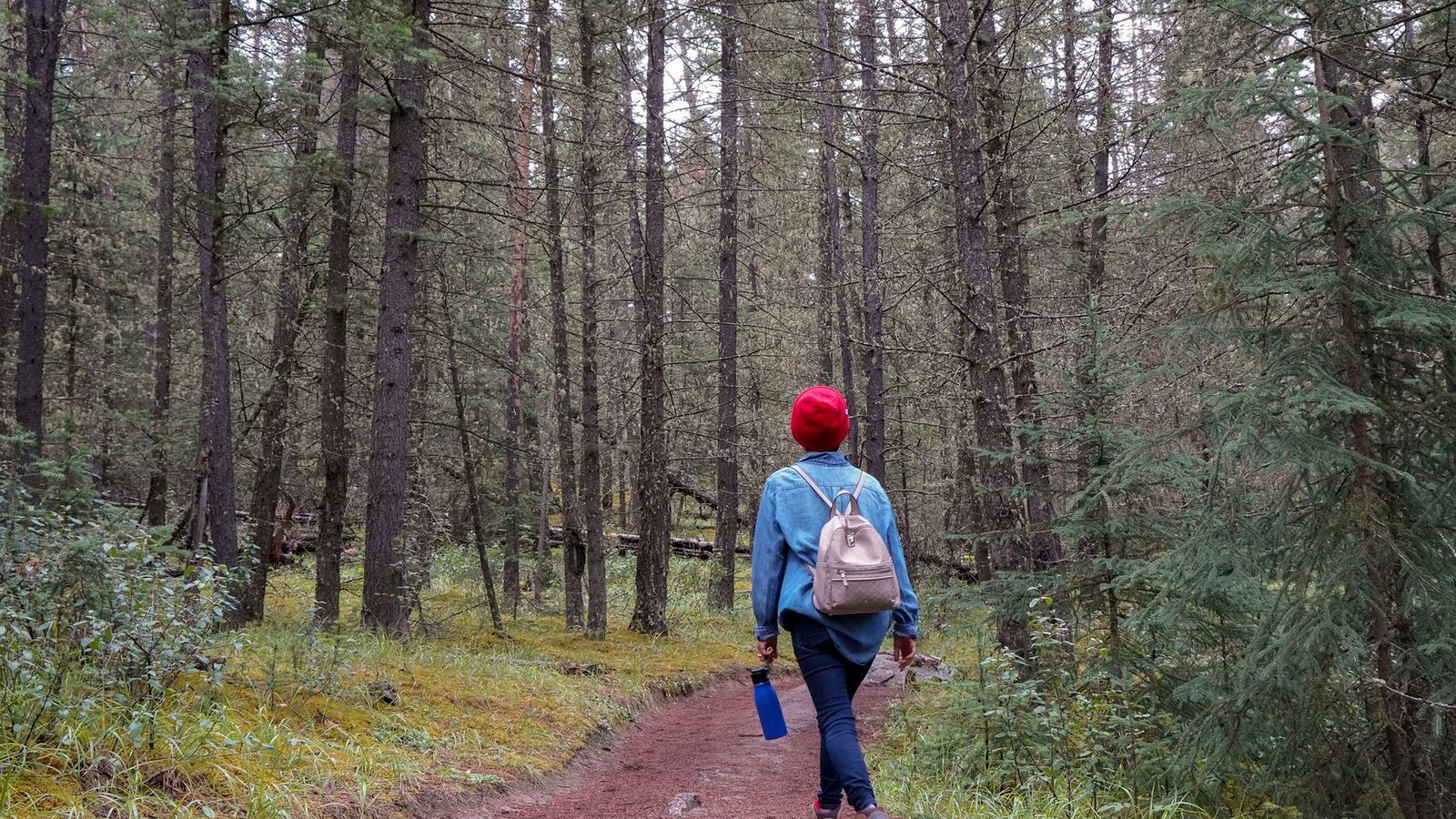 Best Hiking Gear for Beginners