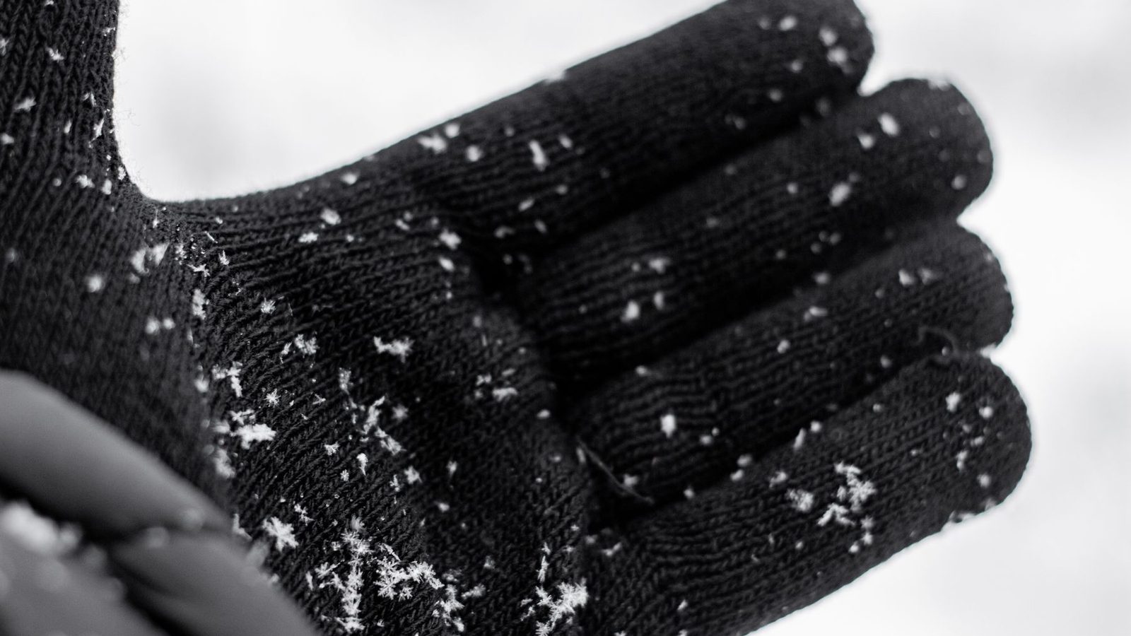 Best Hiking Gloves 2026 — Trail & Cold Weather Picks