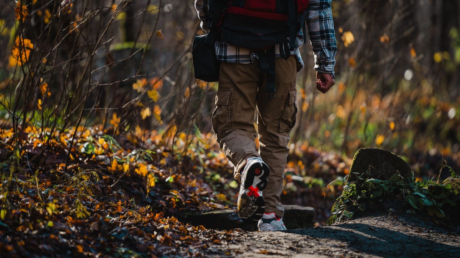 Best Hiking Pants & Shorts (2026)