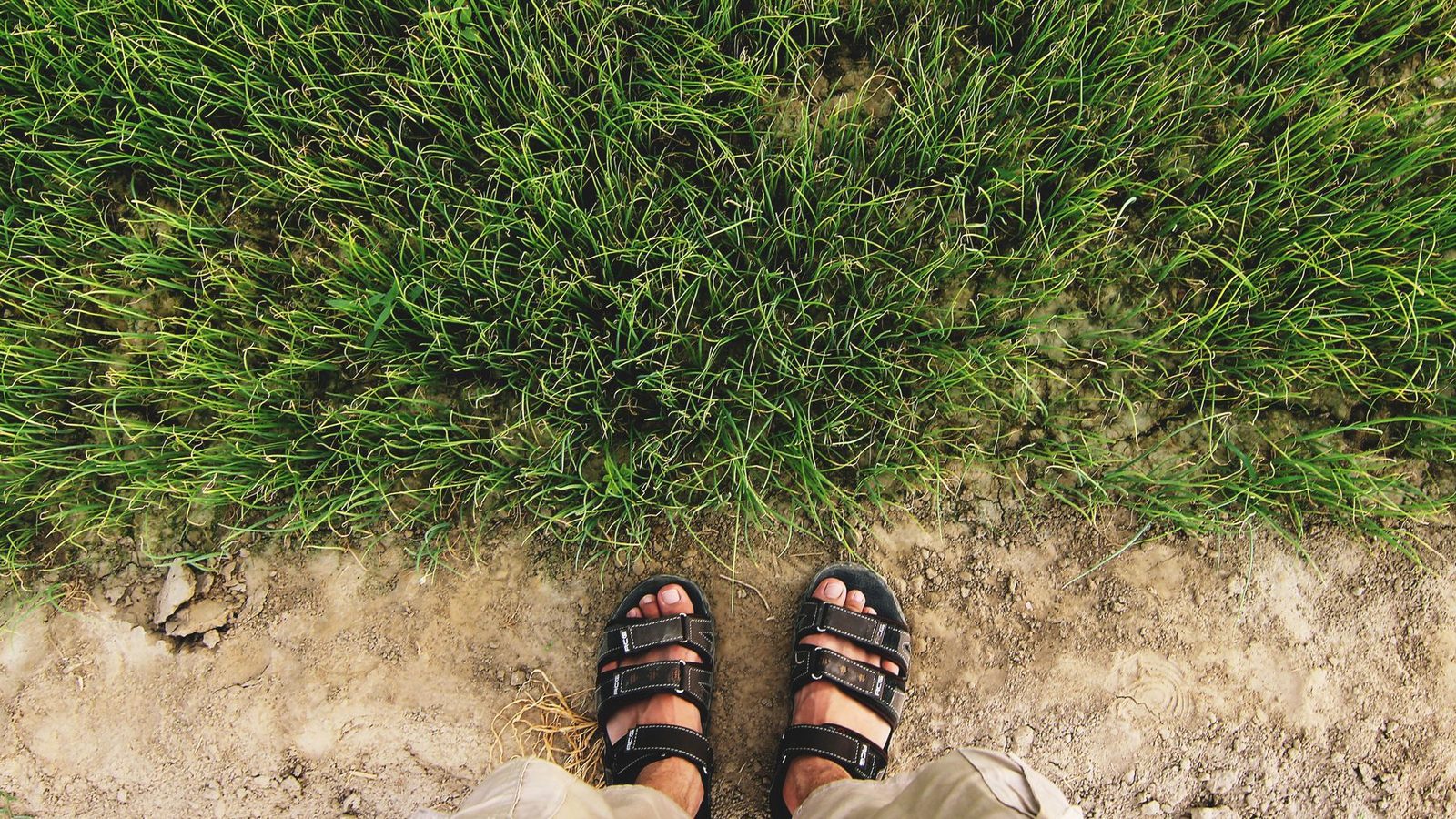Best Hiking Sandals 2026 — Trail & Water Picks