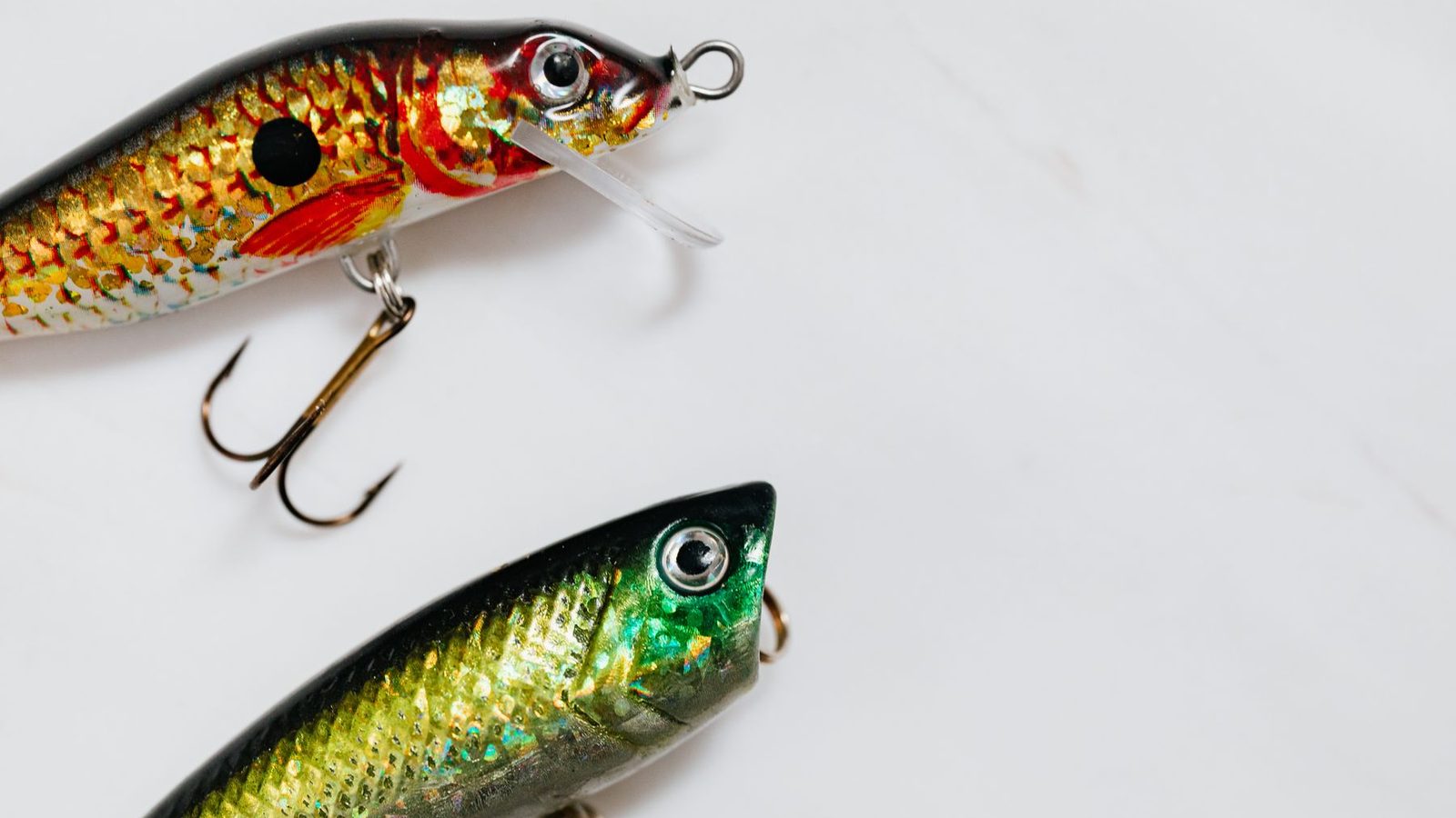 Best Musky Lures 2026 — Bucktails, Jerkbaits & More