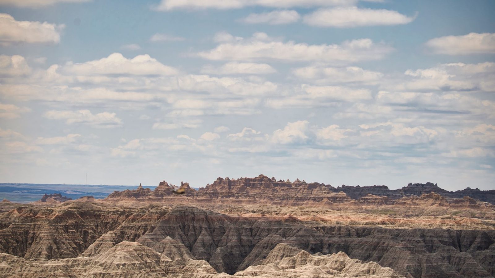Best National Parks for Beginner Hikers