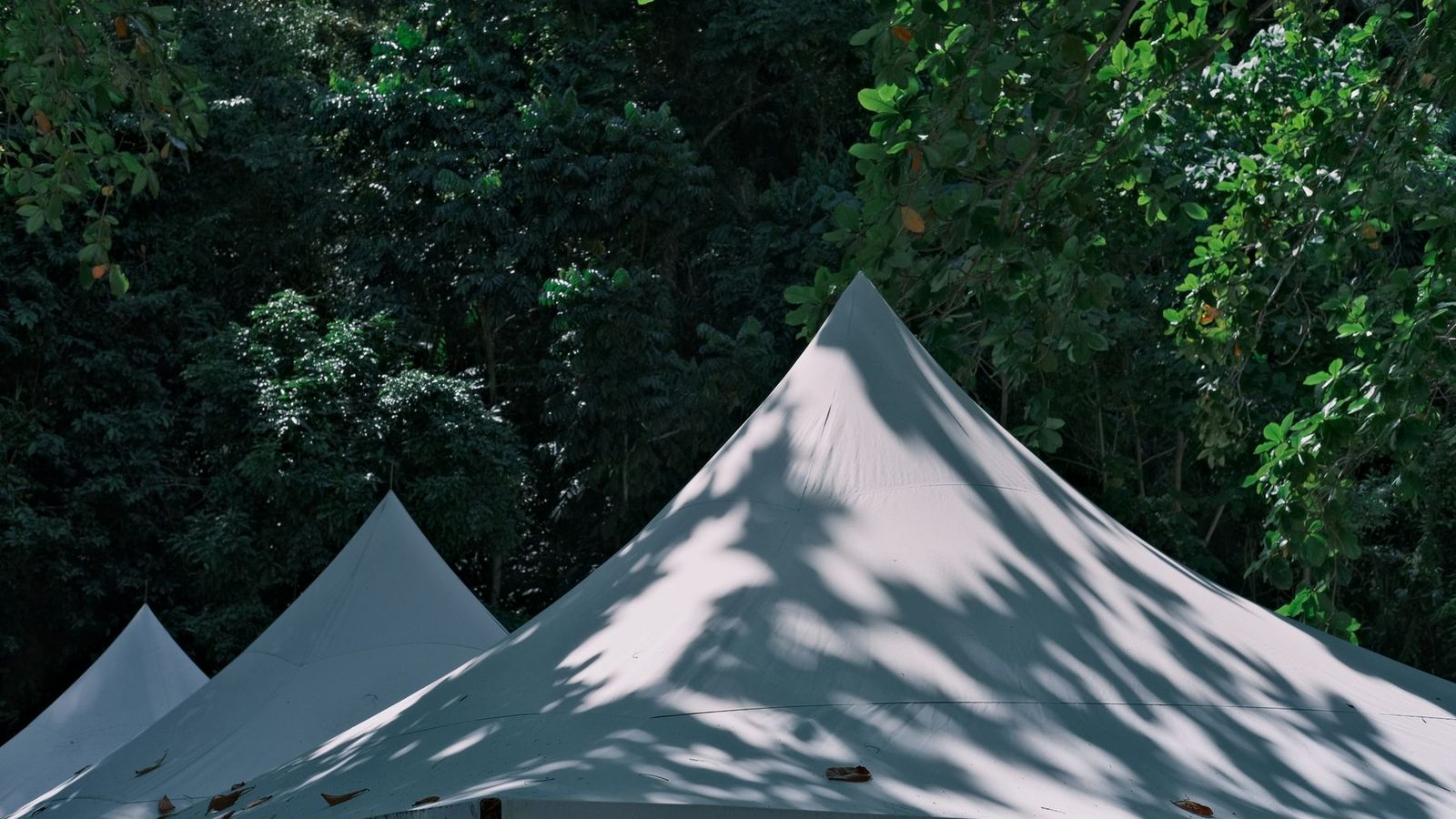 Best Pop-Up Canopies for 2026
