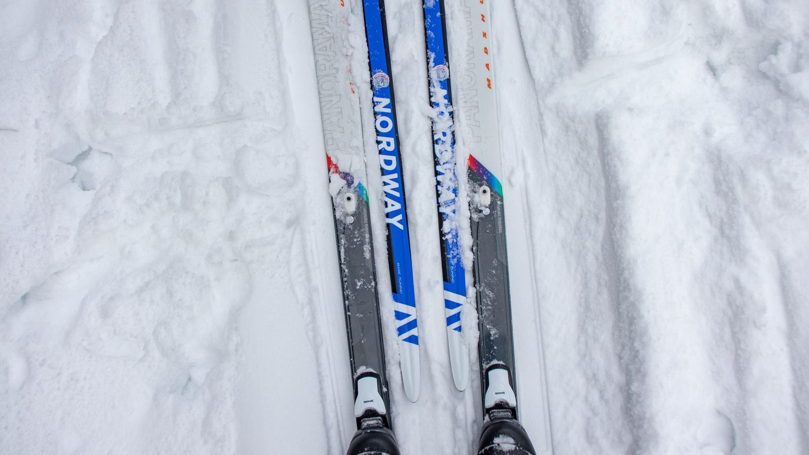 Best Ski Bindings 2026 — Alpine & Touring Picks