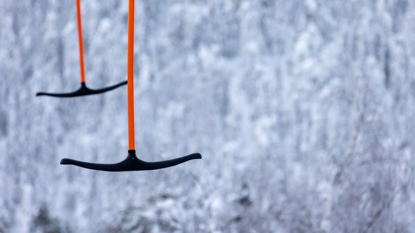 Best Ski Poles 2026 — Aluminum, Carbon & Adjustable Picks