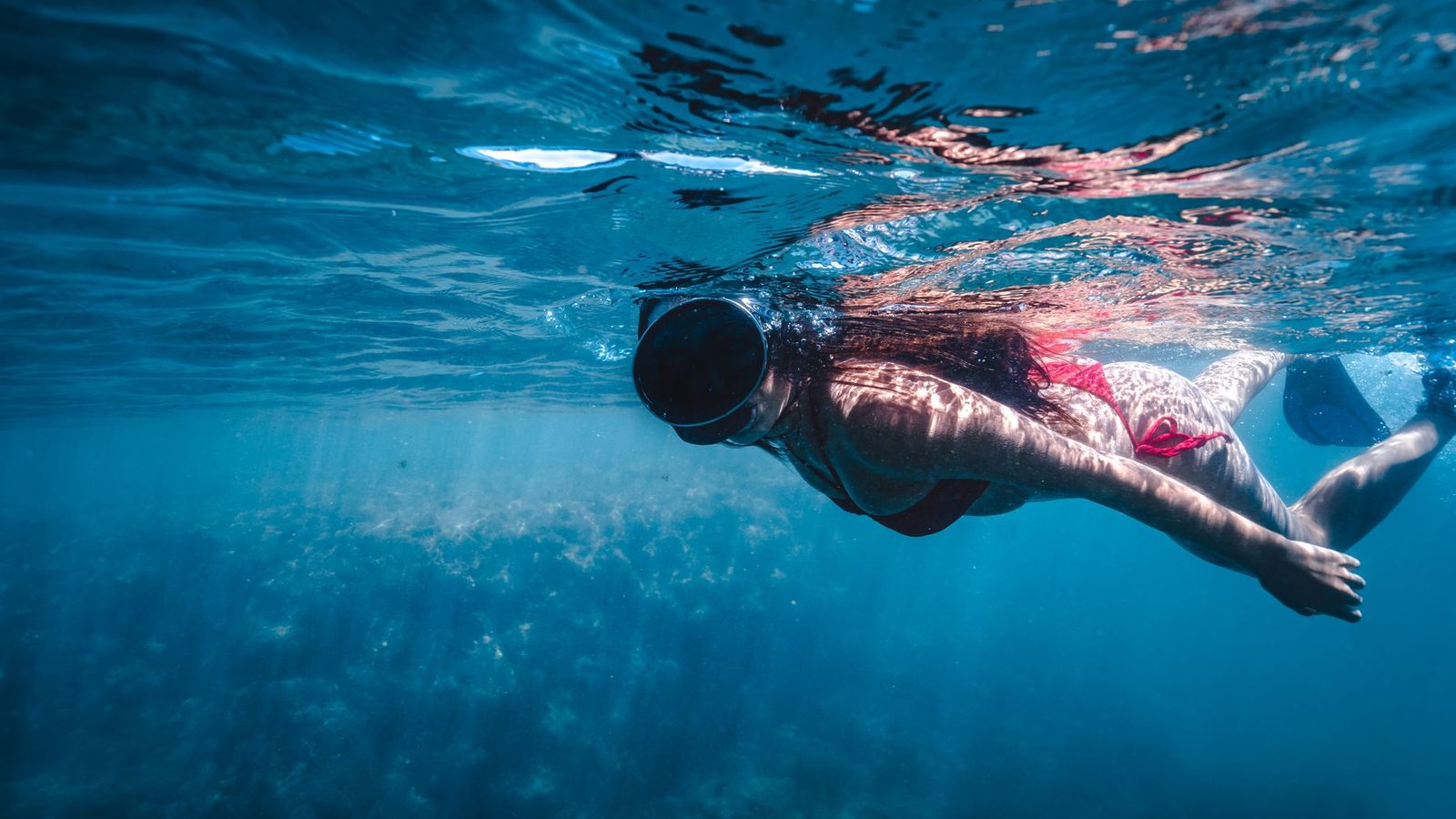 Best Snorkeling Gear for 2026