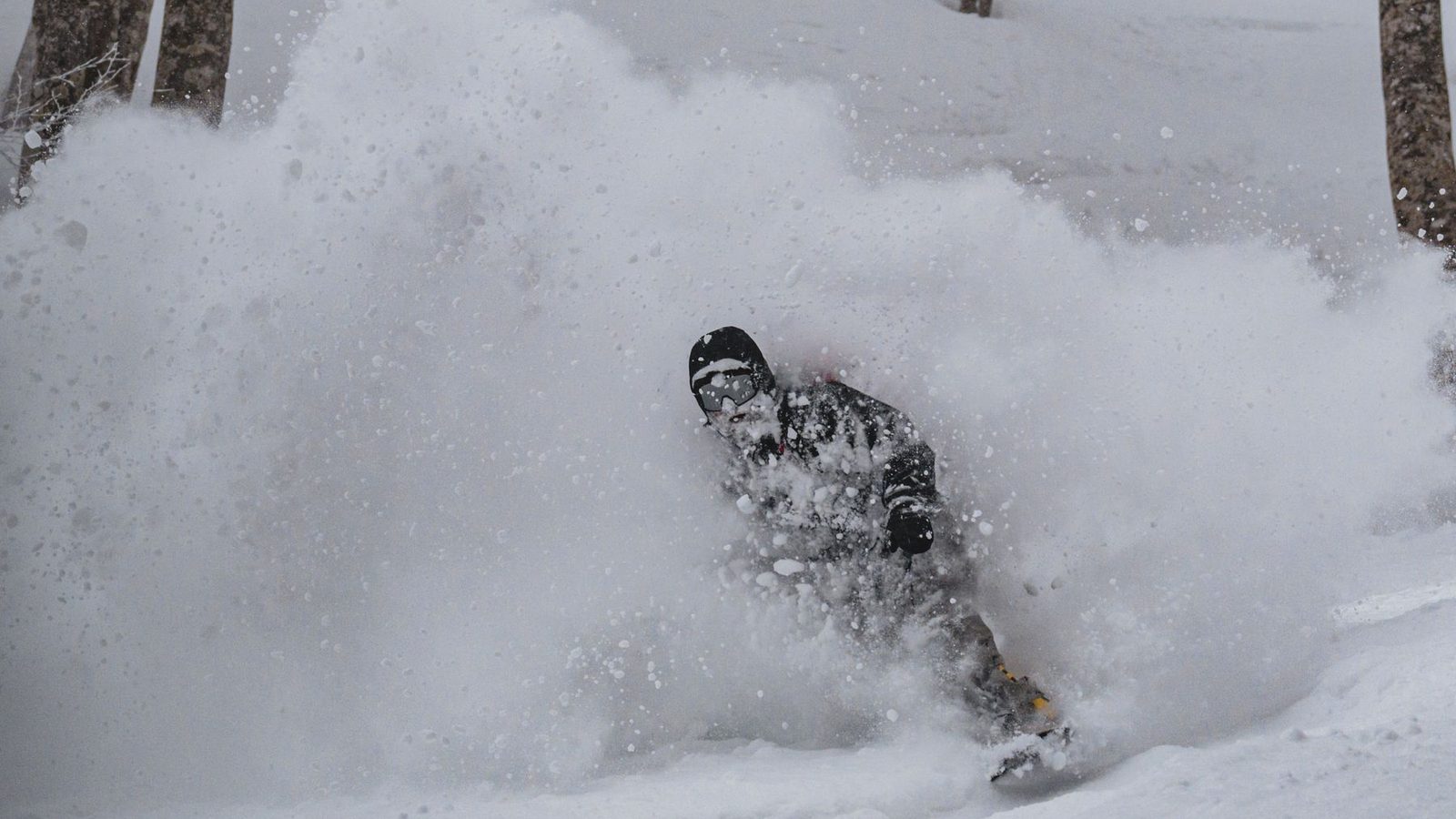 Best Snowboards (2026)