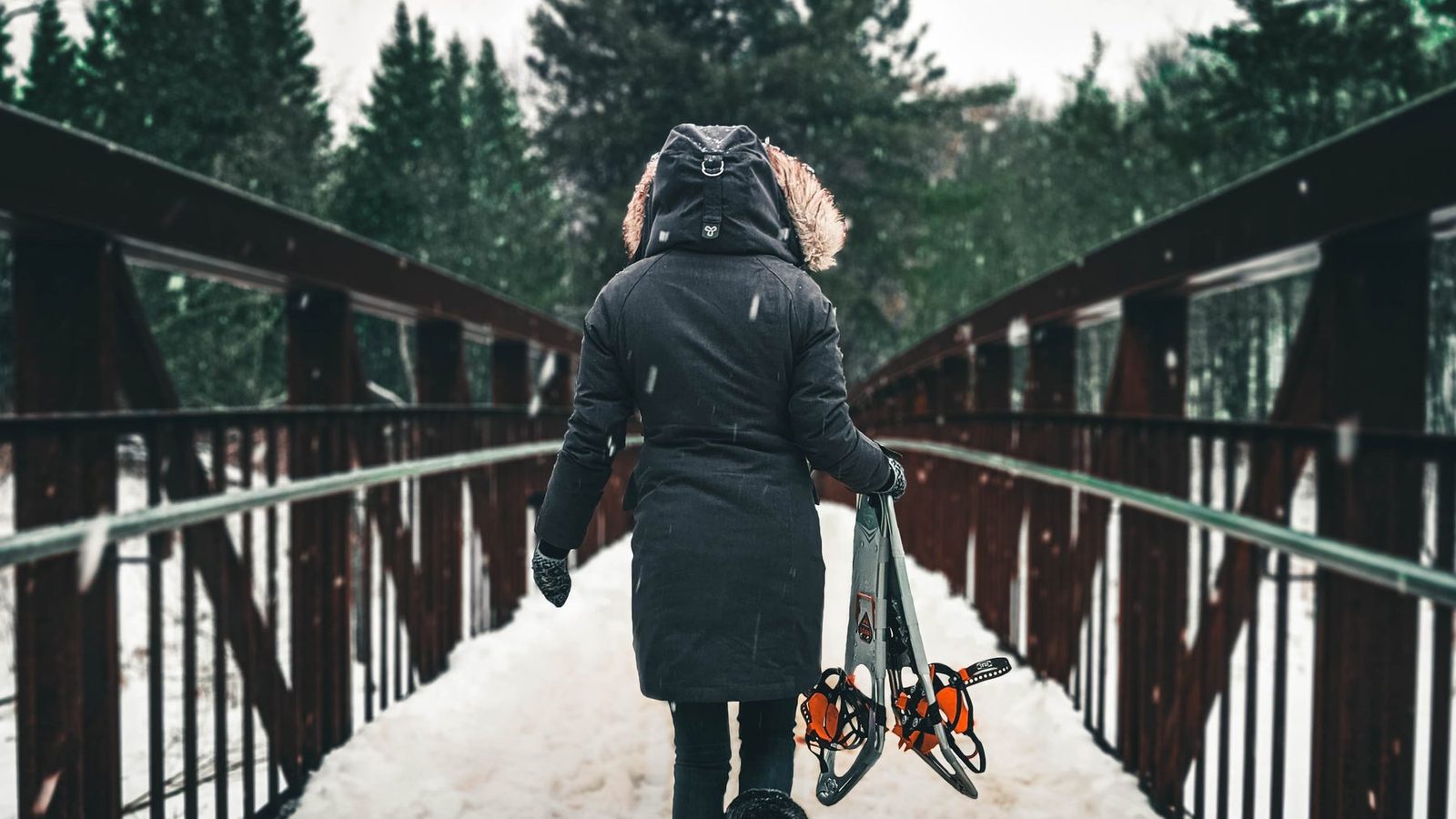 Best Snowshoes 2026 — Recreational, Trail & Backcountry Picks