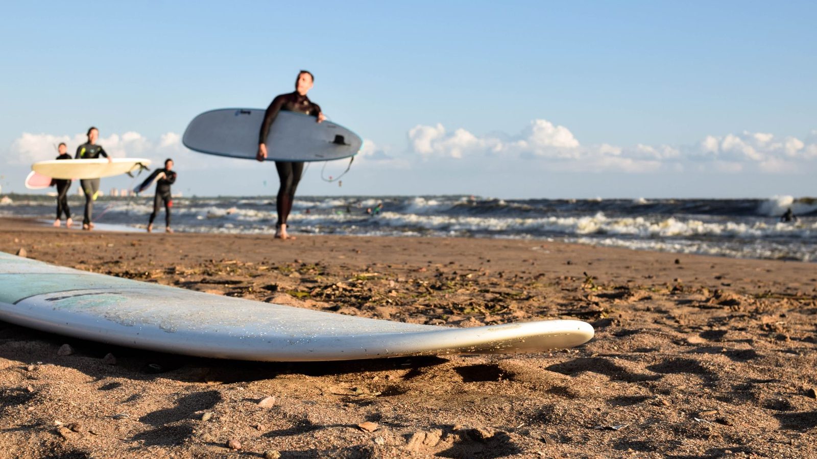 Best Surf Leashes 2026 — Shortboard, Longboard & SUP