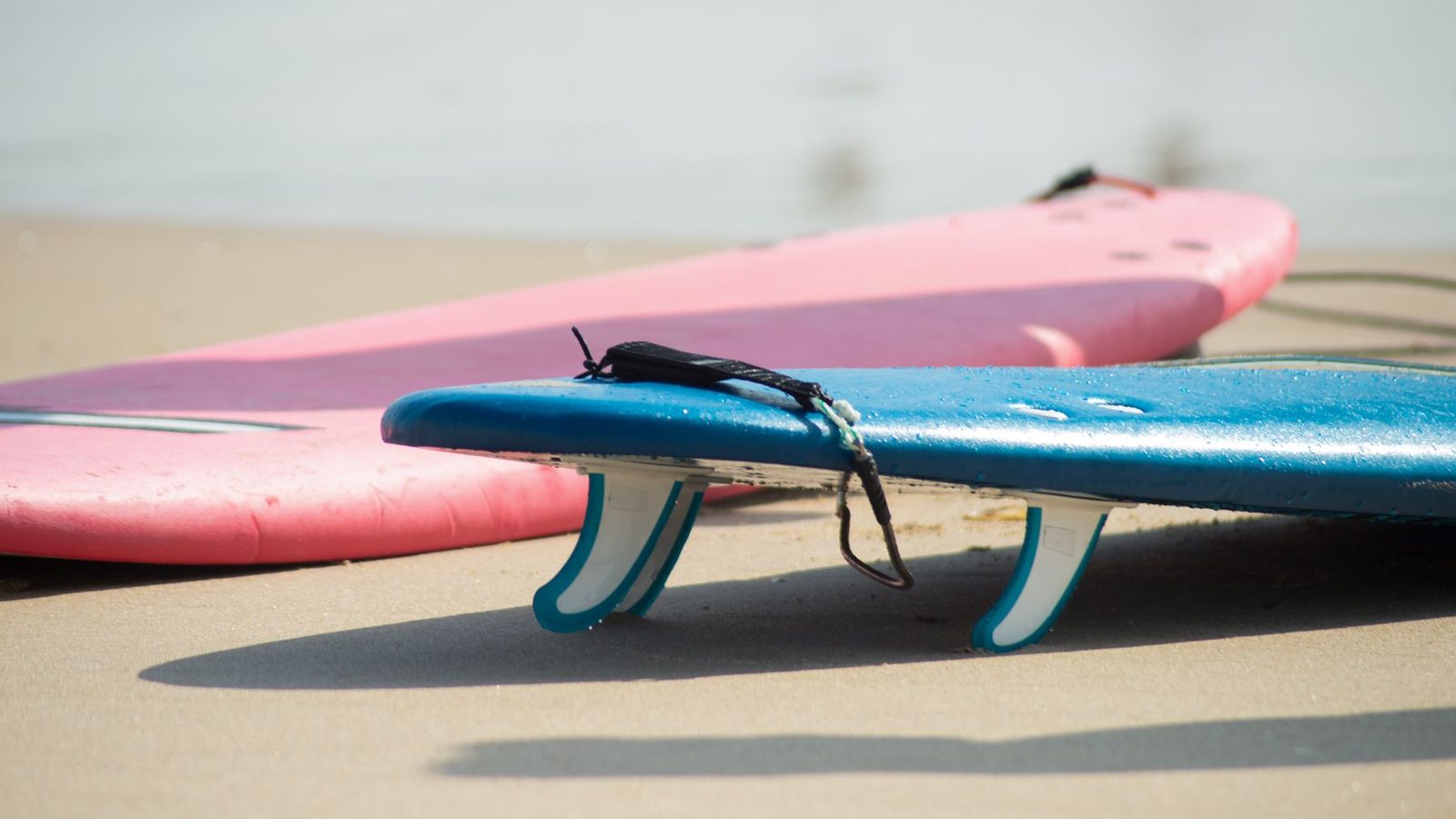 Best Surf Wax 2026 — Warm, Cold & Tropical Water