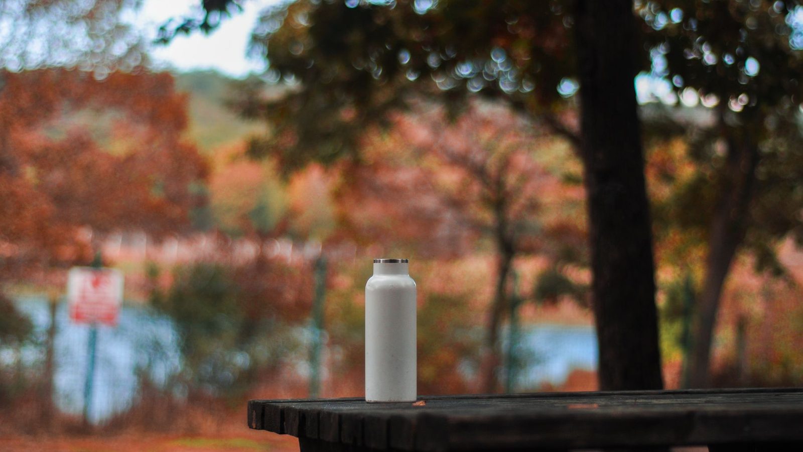 Best Water Bottles 2026 — Insulated, Lightweight & Sport Picks