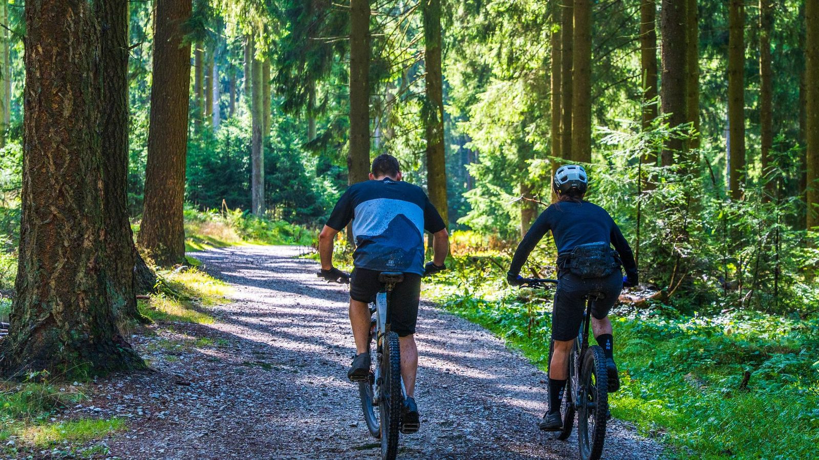 Mountain Biking for Beginners: Everything You Need to Get Started