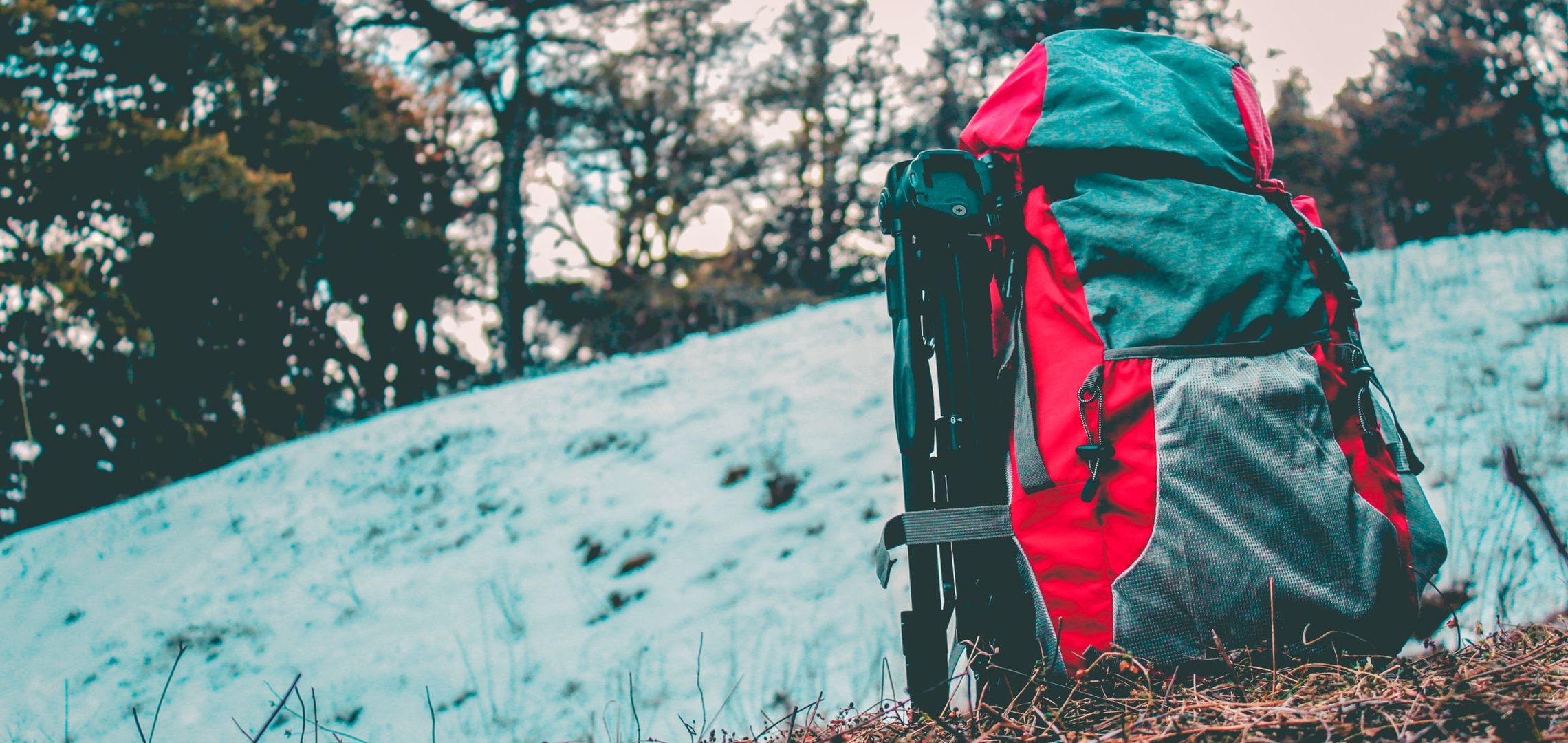 Packs & Essentials Reviews