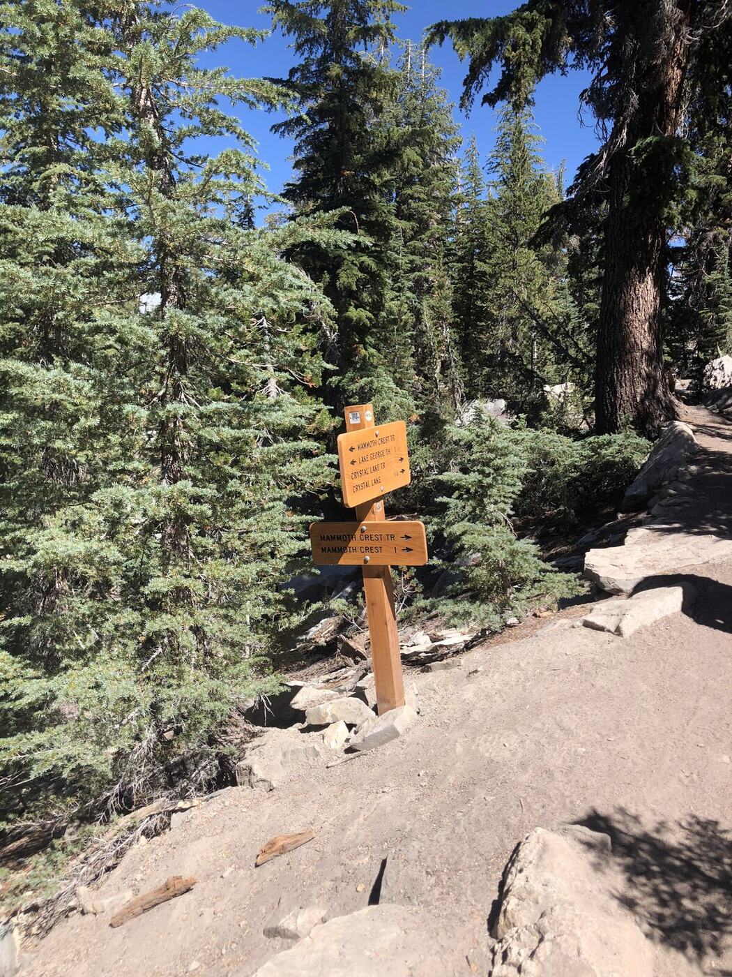 Best Hiking Socks (2026)