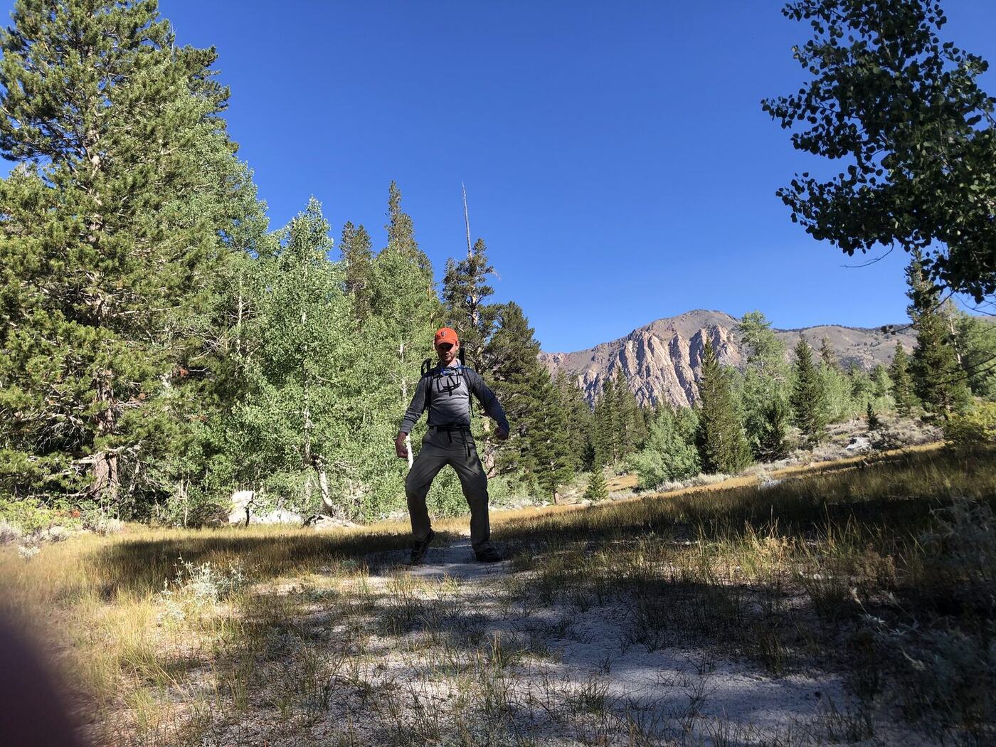 Best Down & Insulated Vests 2026 — Men's & Women's