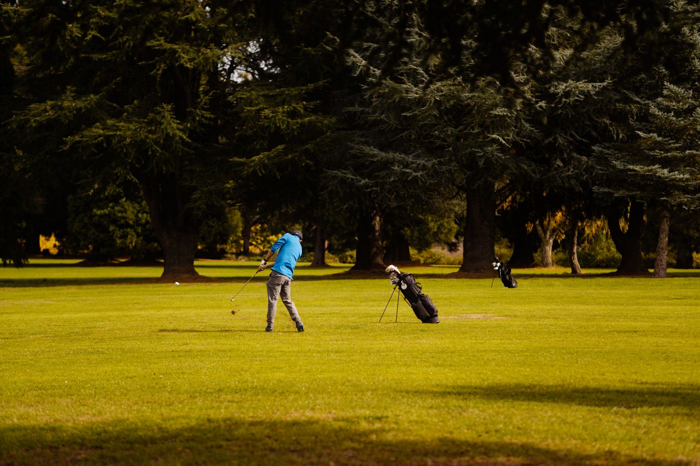 Best Golf Push Carts for 2026
