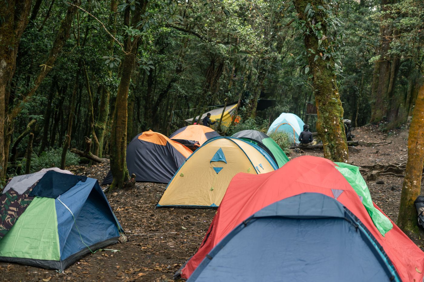 Best Camping Coffee Makers for 2026