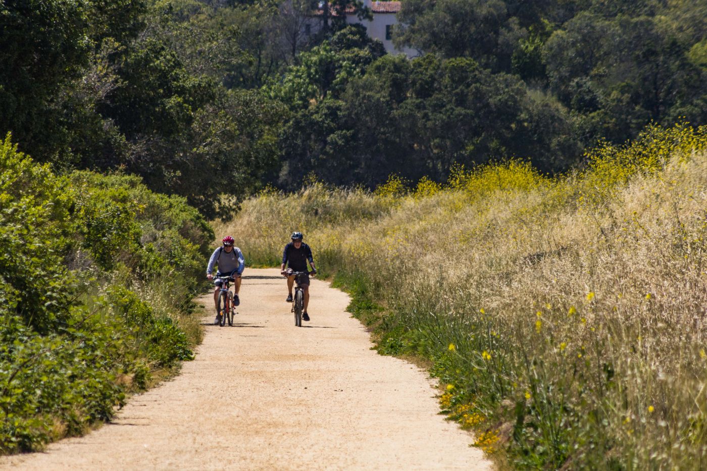 Gravel Biking for Beginners: The Complete 2026 Guide