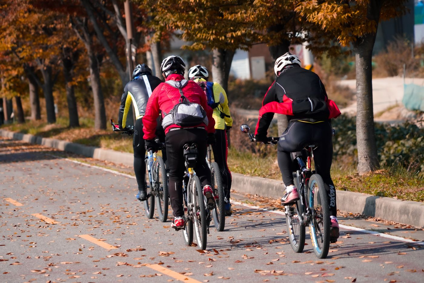 Road Cycling for Beginners: How to Get Started