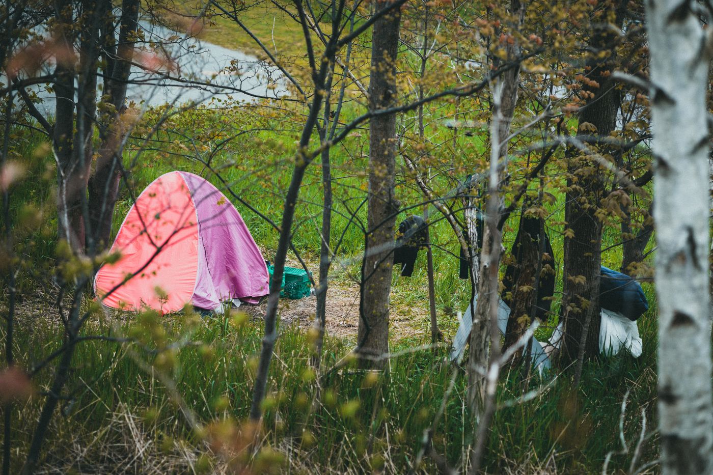 How to Build a Campfire: A Beginner's Step-by-Step Guide