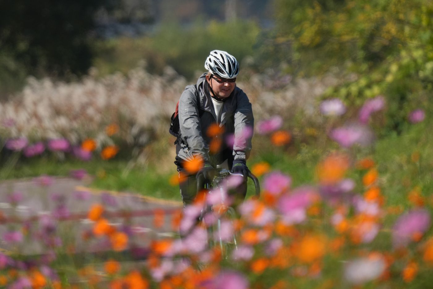 Best Cycling Arm Warmers 2026 — Road & Gravel