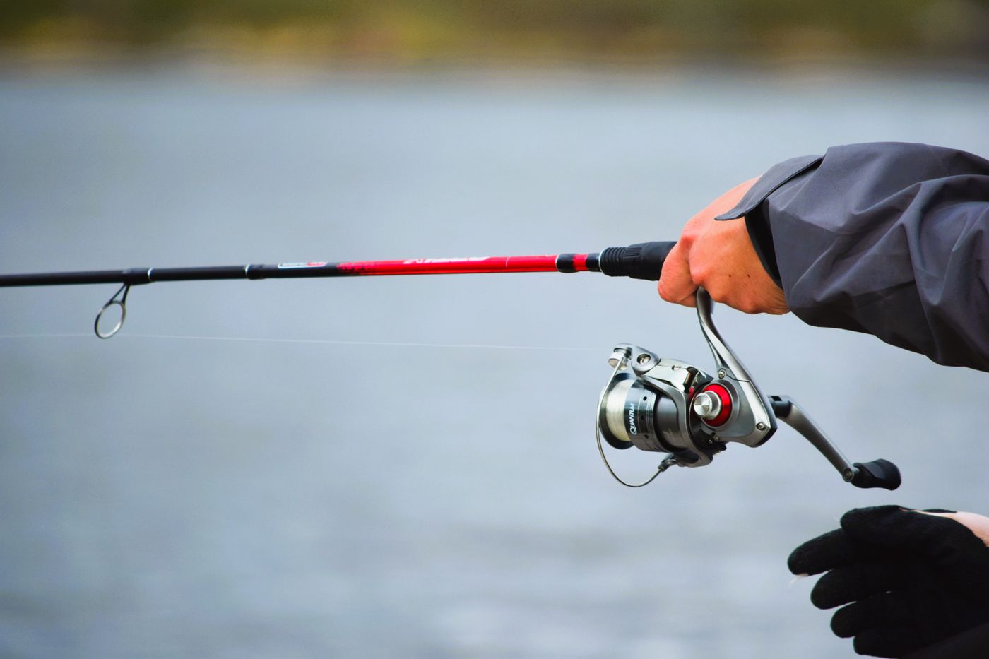 Best Frog Lures 2026 — Hollow Body, Popping & Walking Frogs