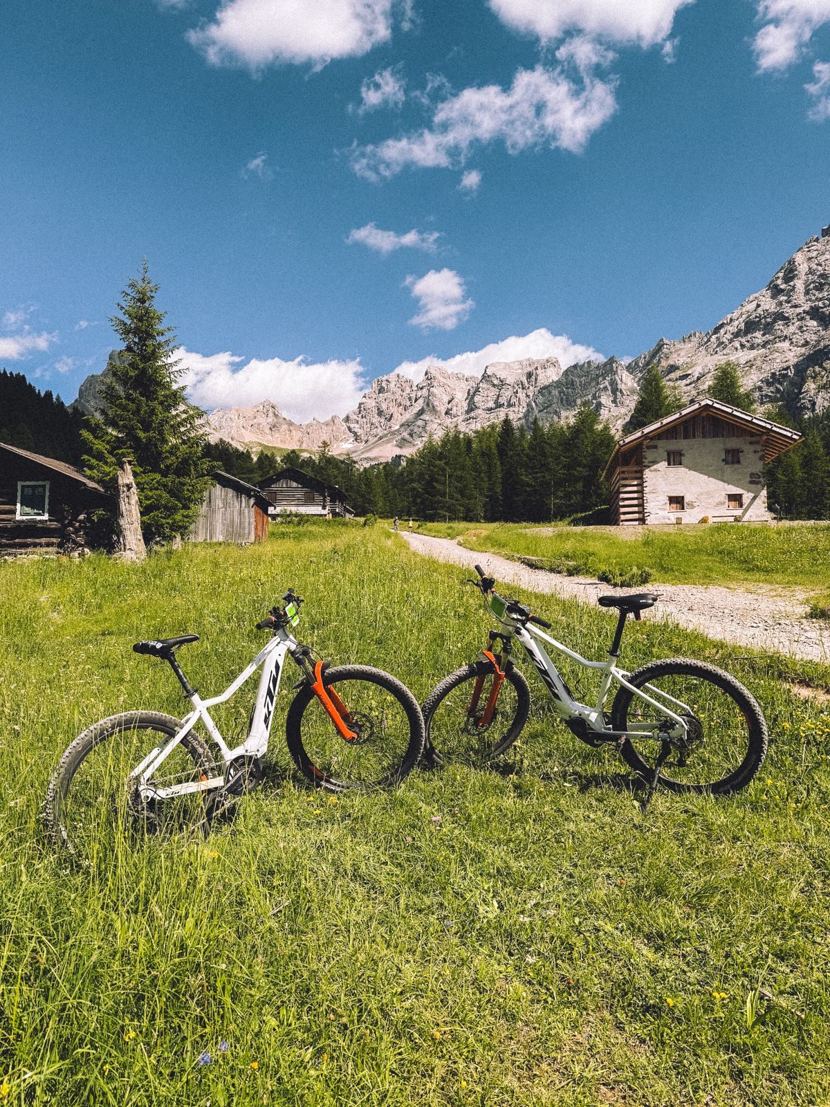 Two mountain bikes parked on an alpine meadow near cabins