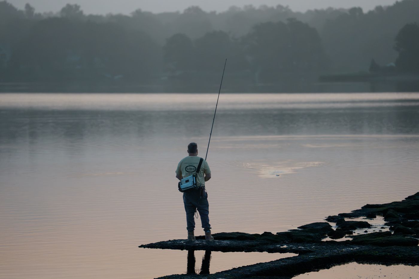 Best Spinning Reels 2026 — Bass, Trout & All-Around Picks
