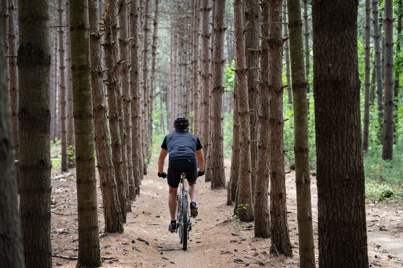 How to Choose a Mountain Bike: Hardtail vs Full Suspension Explained